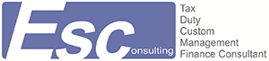 ESConsulting