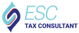 ESConsulting